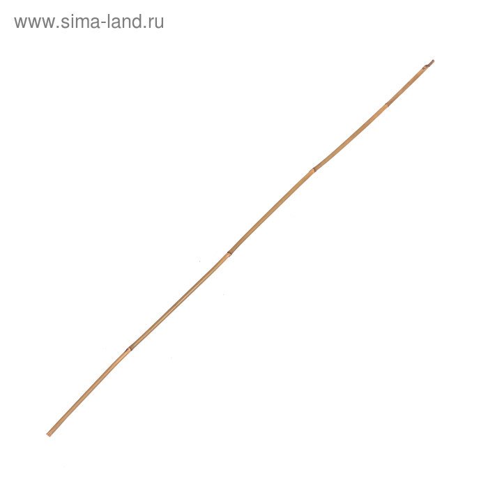 

Колышек для подвязки растений, h = 90 см, ножка d = 0,6-0,8 см, бамбук, Greengo