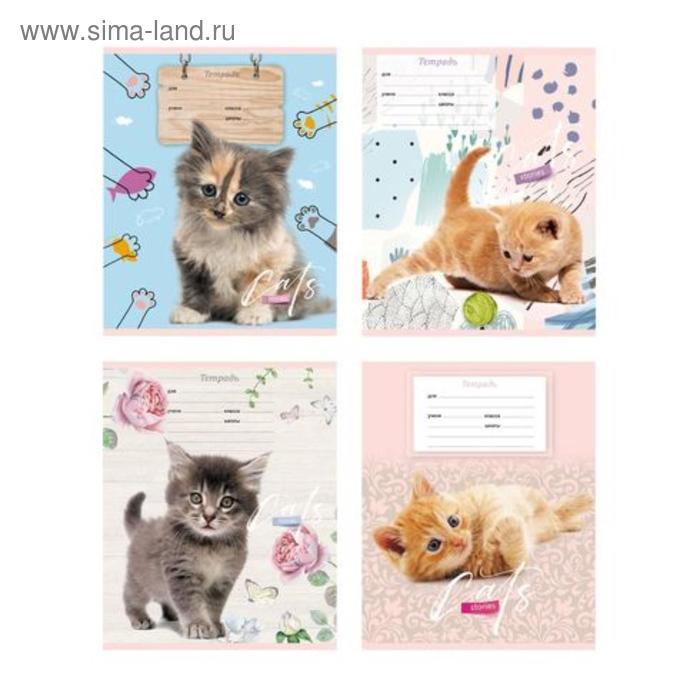 

Тетрадь 12 листов в косую линейку Cat story, обложка мелованный картон, МИКС