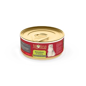 

Влажный корм Molina для кошек, цыпленок с лососем в желе, 80 г