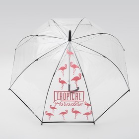 Зонт-купол Tropical Paradise, 8 спиц, d = 88 см, прозрачный Ош