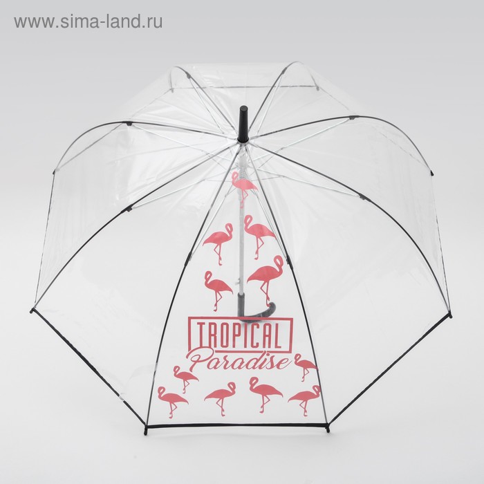 Зонт-купол Tropical Paradise, 8 спиц, d = 88 см, прозрачный зонт купол погодка офигительная но и ты не отстаёшь 8 спиц d 88 см прозрачный