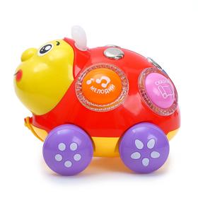 

Игрушка музыкальная «Чудо-жук»