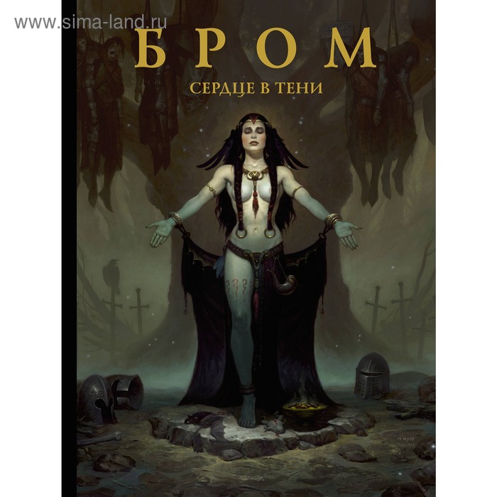 

Бром: Сердце в тени. Бром Д.