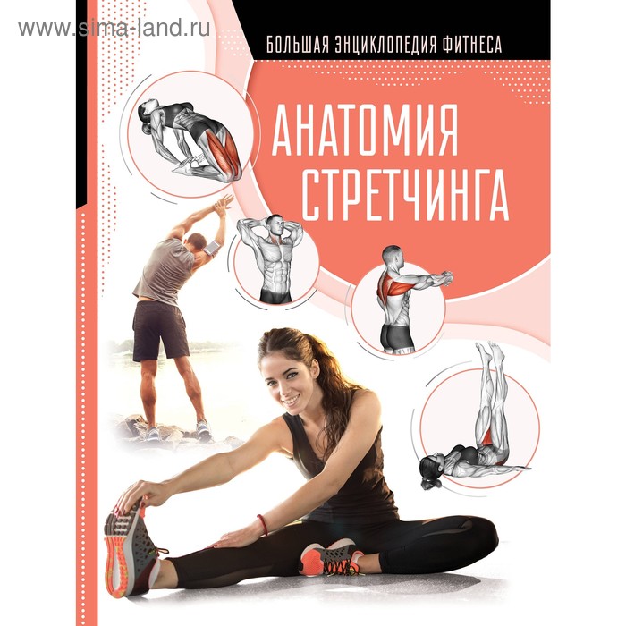  Анатомия стретчинга. Степук Н.Г.