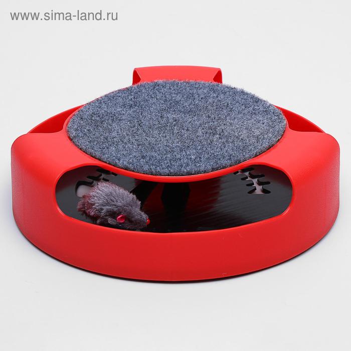 

Игровой комплекс для кошек "Мышеловка" (картонная коробка), микс цветов