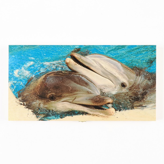 Нарды "Дельфины", 48 х 24 х 4 см, (фишка d=2.5 см)