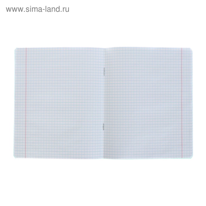 Тетрадь 18 листов, клетка, 