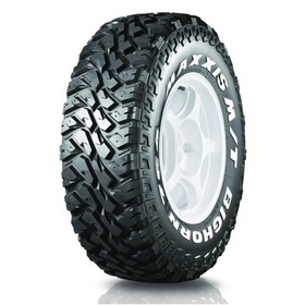 

Шина летняя Maxxis Bighorn (MT-764) 30x9.5 R15 104Q