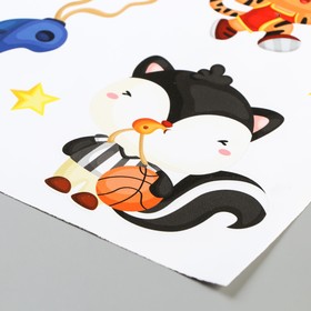 

Наклейки Divino "Баскетбол" 30х50 см