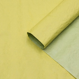 Бумага упаковочная "Эколюкс двухцветная", салатовый-желтый, 0,7 x 5 м