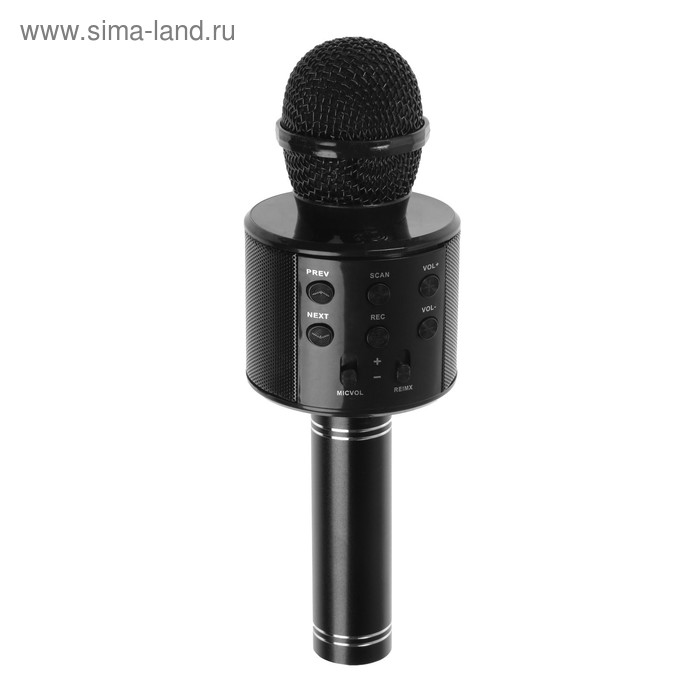 

Микрофон для караоке Belsis MA3001BE, Bluetooth, FM, microSD, чёрный