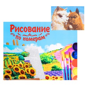 

Картина по номерам на холсте, 40 × 50 см «Милые ламы»