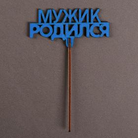 

Топпер «Мужик родился», 111х44 мм, синий