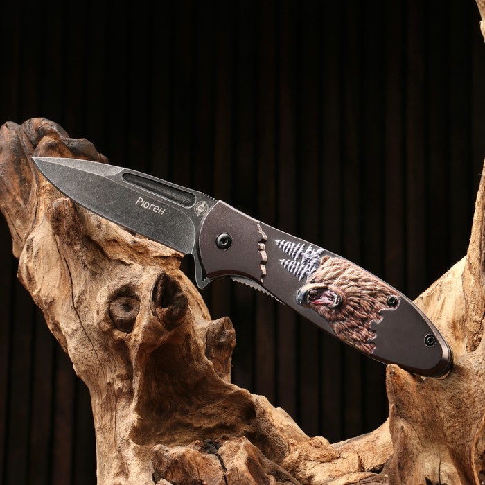 Нож складной Рюген сталь - 420, рукоять - алюминий, 20 см
