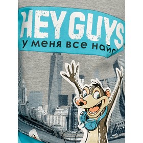 

Толстовка для мальчиков, рост 86 см, цвет серый