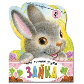

«Зайка»