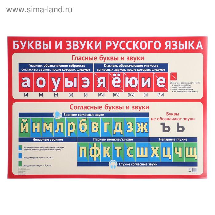 

Плакат "Буквы и звуки русского языка" А2