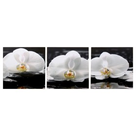 Модульная картина 'Три орхидеи' (3-35х35) 35х105 см Ош