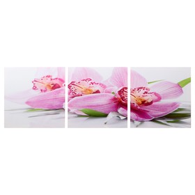 Модульная картина 'Розовые орхидеи' (3-35х35) 35х105 см Ош