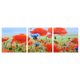 Модульная картина 'Полевые цветы' (3-35х35) 35х105 см Ош