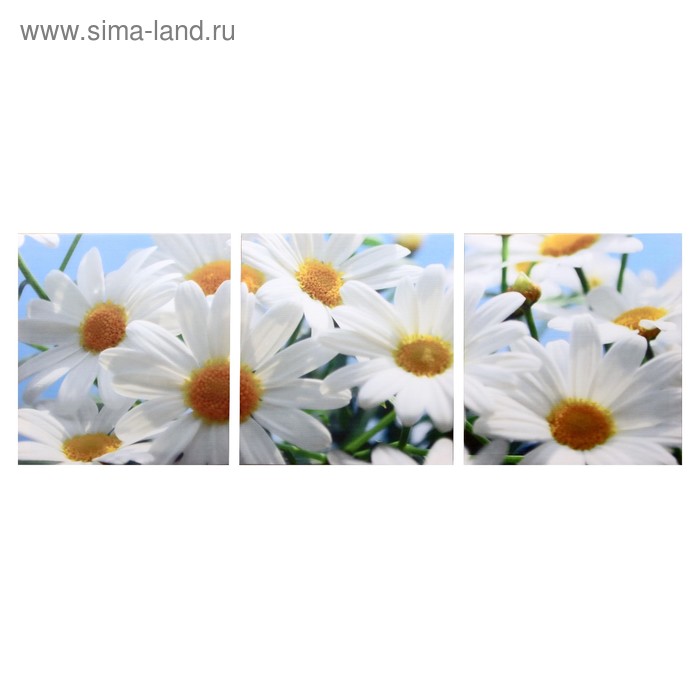 Модульная картина Белые ромашки (3-35х35) 35х105 см модульная картина мандариновое настроение 3 35х35 35х105 см