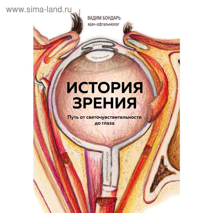 

История зрения: путь от светочувствительности до глаза, Бондарь В.А.