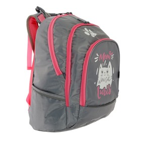 

Рюкзак молодёжный, Luris «Спринт», 42 х 28 х 20 см, эргономичная спинка, для девочки «Кот»