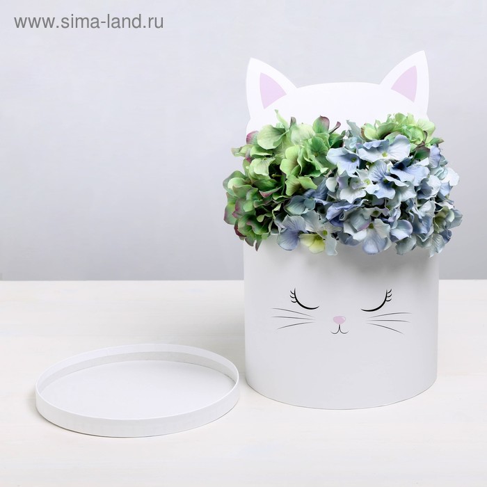 Коробка подарочная шляпная для цветов с доп. элементом, упаковка, «Белый котик», 22 х 22 см