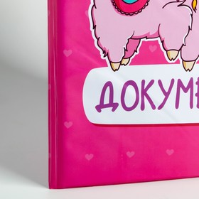 

Папка для семейных документов «Документы», 12 файлов
