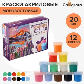Краска акриловая, набор 12 цветов х 20 мл, Calligrata, художественная, морозостойкая, в картонной коробке Ош