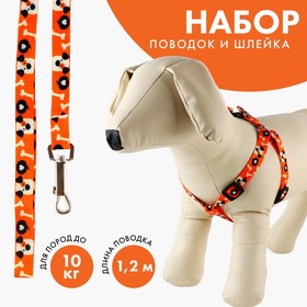 Комплект «Собака», шлейка 36-49 см, поводок 120х1.5 см Ош
