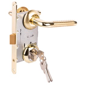 

Замок врезной MARLOK 85/5403-ЦМ60, межосевое 85 мм (Тип 4), цвет золото