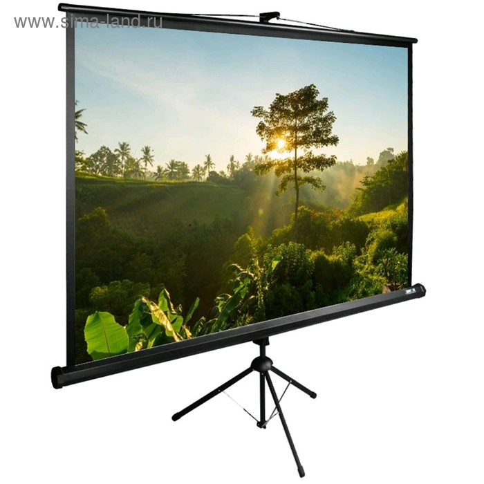 цена Экран Cactus 200x200см TriExpert CS-PSTE-200x200-BK 1:1 напольный рулонный черный