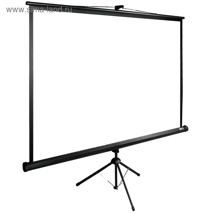 фото Экран cactus 200x200см triexpert cs-pste-200x200-bk 1:1 напольный рулонный черный