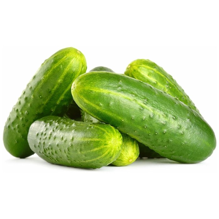 

Огурцы короткоплодные вес кг