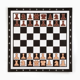 Демонстрационные шахматы на магнитной доске, 60х60 см