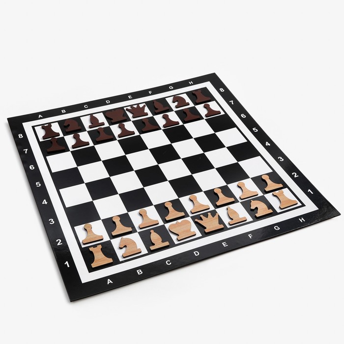 Демонстрационные шахматы на магнитной доске, 60х60 см