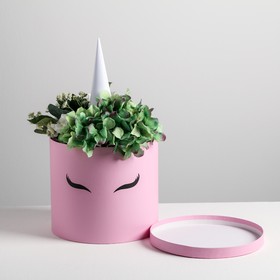 Коробка шляпная для цветов с доп. элементом «Розовый единорожка», 22 × 19 см