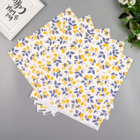 

Бумага для скрапбукинга односторонняя "Sweet Citrus" 30.5х30.5 см, 190 гр/м2
