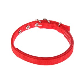 

Ошейник "Комфорт" комбинированный (полиэстер, искусственная кожа), 39 х 1,5 см, красный