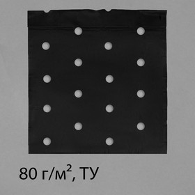 Материал мульчирующий, с перфорацией, 1,6 × 10 м, плотность 80, УФ-стабилизатором, чёрный, Greengo, Эконом 20%