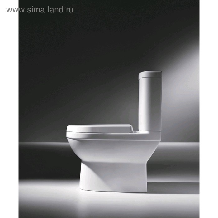 

Чаша унитаза BRAVAT «Новая луна» CX01019UW-P-RUS, с сиденьем, белая