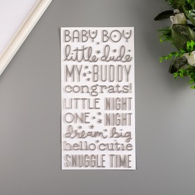 

Стикеры слова с серебряным фольгированием Pebbles "NIGHT NIGHT BOY" 158 шт