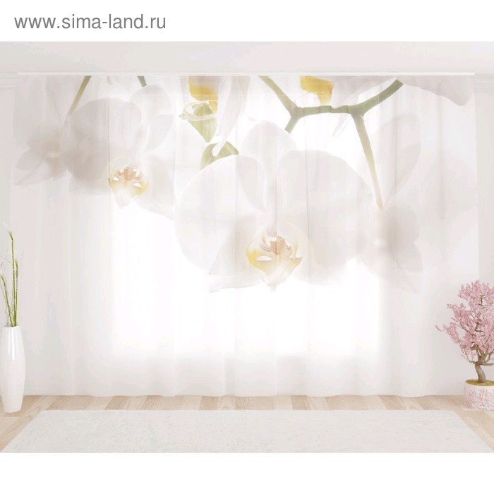 Фототюль «Белые орхидеи», размер 290 х 260 см, вуаль
