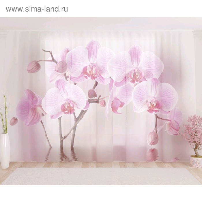 Фототюль «Арка из орхидей», размер 290 х 260 см, вуаль