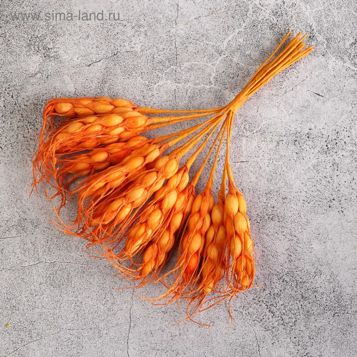 Декоративный букетик пшеницы 15см, оранжевый