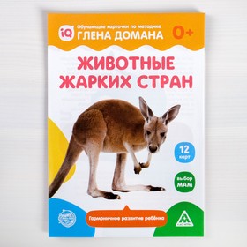 

Обучающие карточки по методике Глена Домана «Животные жарких стран», 12 карт, А5