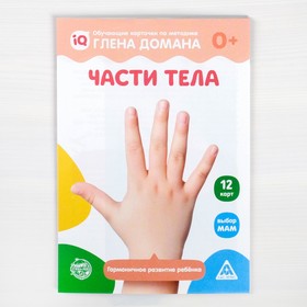 

Обучающие карточки по методике Глена Домана «Части тела», 12 карт, А5