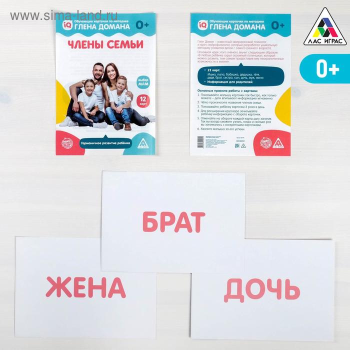 

Обучающие карточки по методике Глена Домана «Члены семьи», 12 карт, А5
