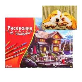 

Картина по номерам на холсте 30 × 40 см, «Спящие щенята»